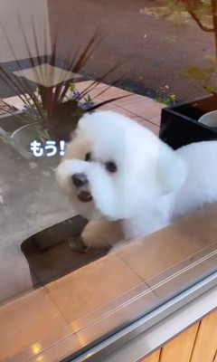 ショーンくんのお迎え6