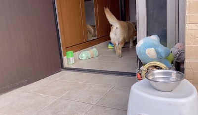 天才的な切り替え