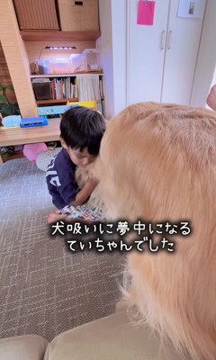 帰宅した男の子とエルくん7