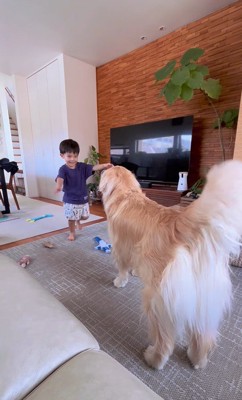 帰宅した男の子とエルくん2