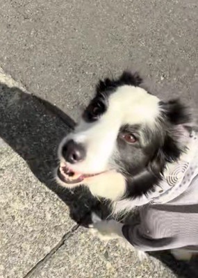 感情表現豊かでかわいい♡