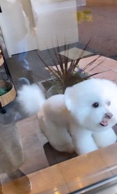 ショーンくんのお迎え5