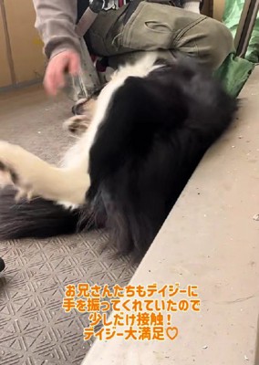 「やっとなでてくれた♡」