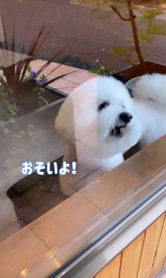 ショーンくんのお迎え8