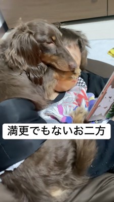 目を半開きにして眠るダックス