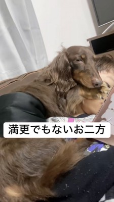 気にせずタブレットを見る男の子