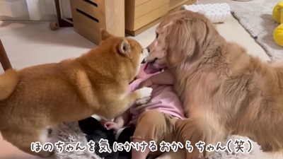 「私も入れて～」