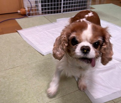 本当は童顔のかわいい女の子