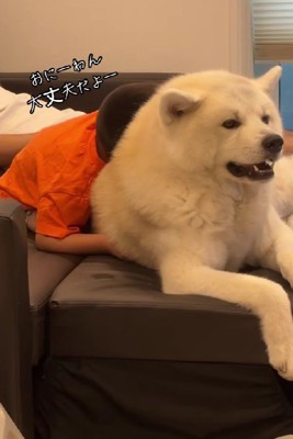 「大丈夫だよ」