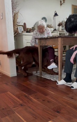 おばあちゃんに突撃!!