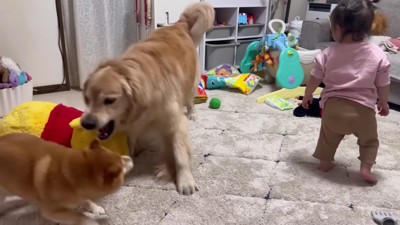 ワンプロ二回戦！！