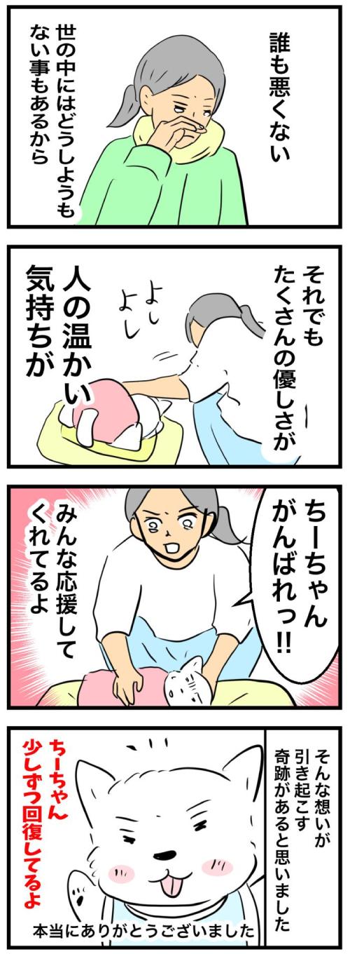 ちーちゃんですけどもっ【第346話】　2