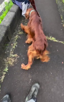 おばあちゃんにも挨拶♡