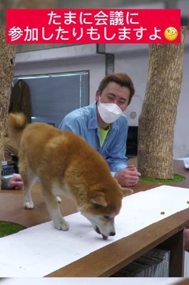 「このプランでいこう！！」