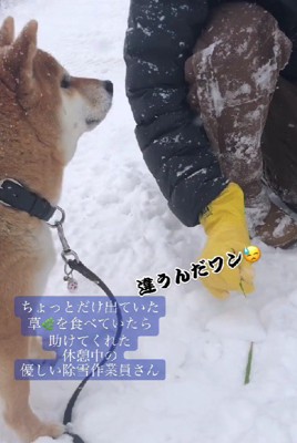 作業員さんが手伝ってくれた！