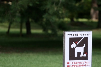 犬の散歩に関する立て看板