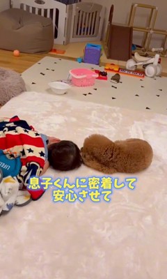 男の子を心配するレオくん4