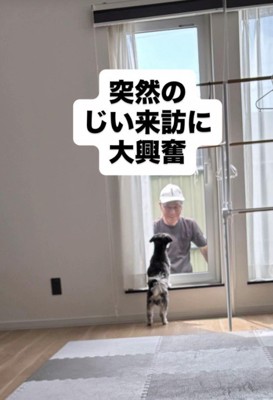 ニウちゃんとおじいちゃん7