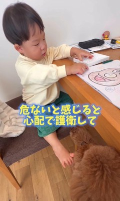 男の子を心配するレオくん6