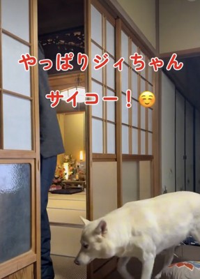 大好き、おじいちゃん