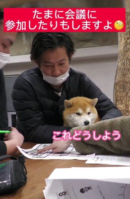 積極的に意見を出します