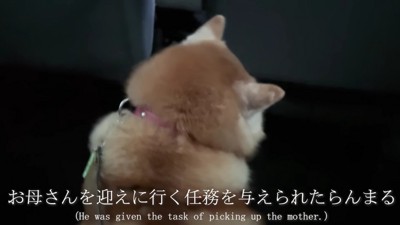 大雪の空港へ…