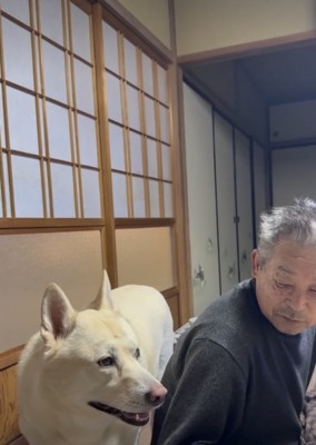 きな子ちゃん、容赦なし