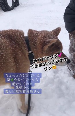 わくわくの朔ちゃん