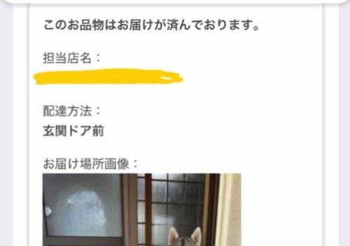 荷物が写されていると思ったら…