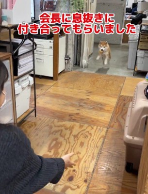 息抜きに付き合うことも