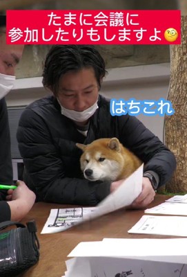 会議にも参加します