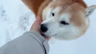 やっと再会できた♡