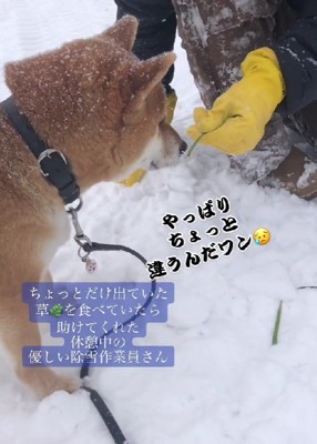 草を差し出すと…