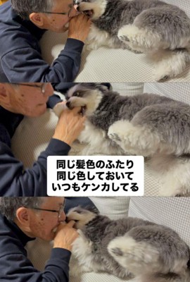 ニウちゃんとおじいちゃん4