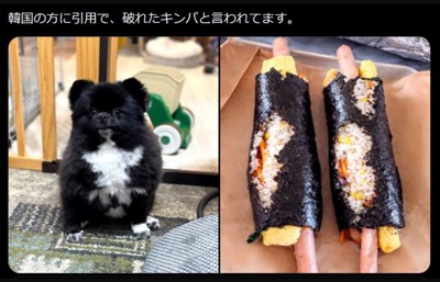 「キンパ」にそっくり！？