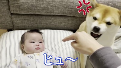 「いじめないで!!」