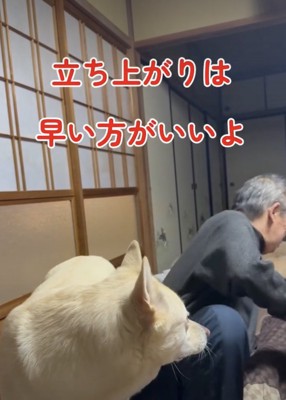 「やっとだわ」