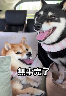 2匹とも頑張ったね!!