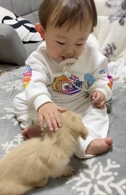 ナデナデ
