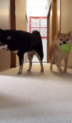「ここ開けて~」