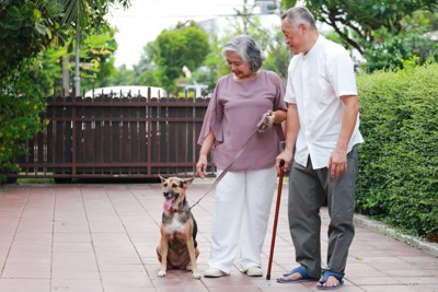 高齢夫婦と犬