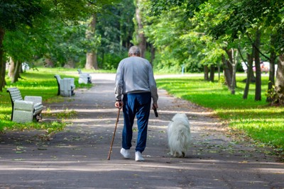 散歩をする高齢者と犬