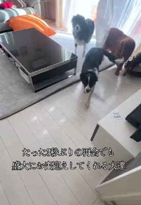 外をチェックしていた！！