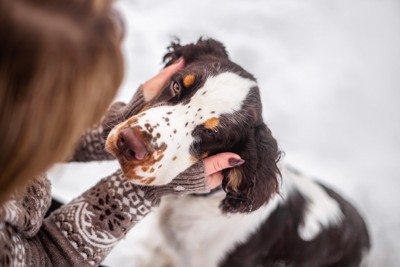 犬を撫でる女性