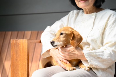高齢者と犬