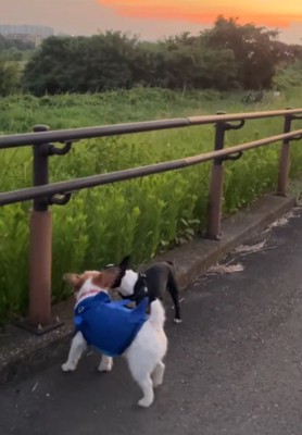 まだまだ続く…