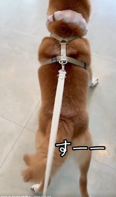 「逃げられないよ~」