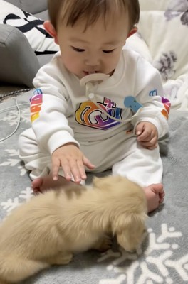 そーっと…