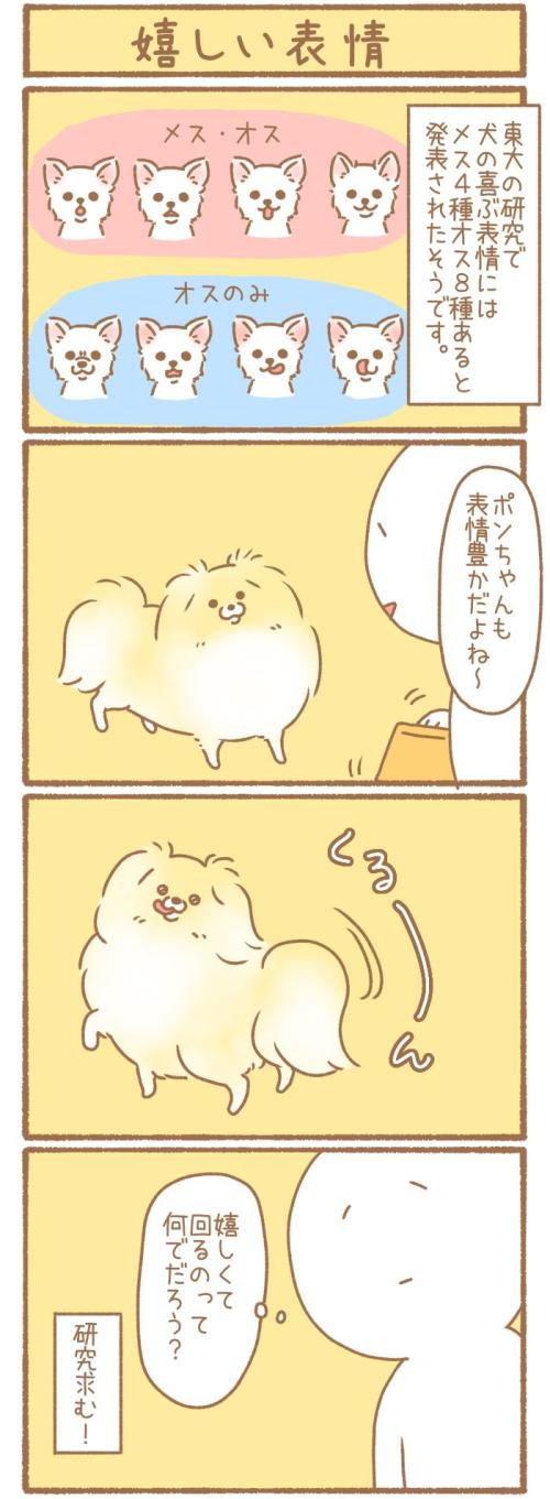 ただの犬好きです。【第348話】