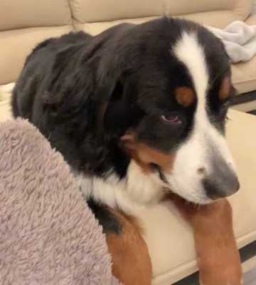 BMD
